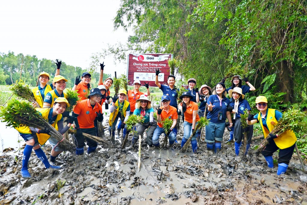 Phục hồi rừng - chiến lược bền vững bảo vệ Việt Nam trước bão lũ
