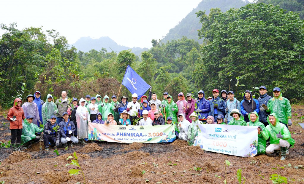 Phục hồi rừng - chiến lược bền vững bảo vệ Việt Nam trước bão lũ