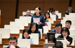 Đề nghị chuyển từ “trả lời” sang “giải quyết” kiến nghị của cử tri
