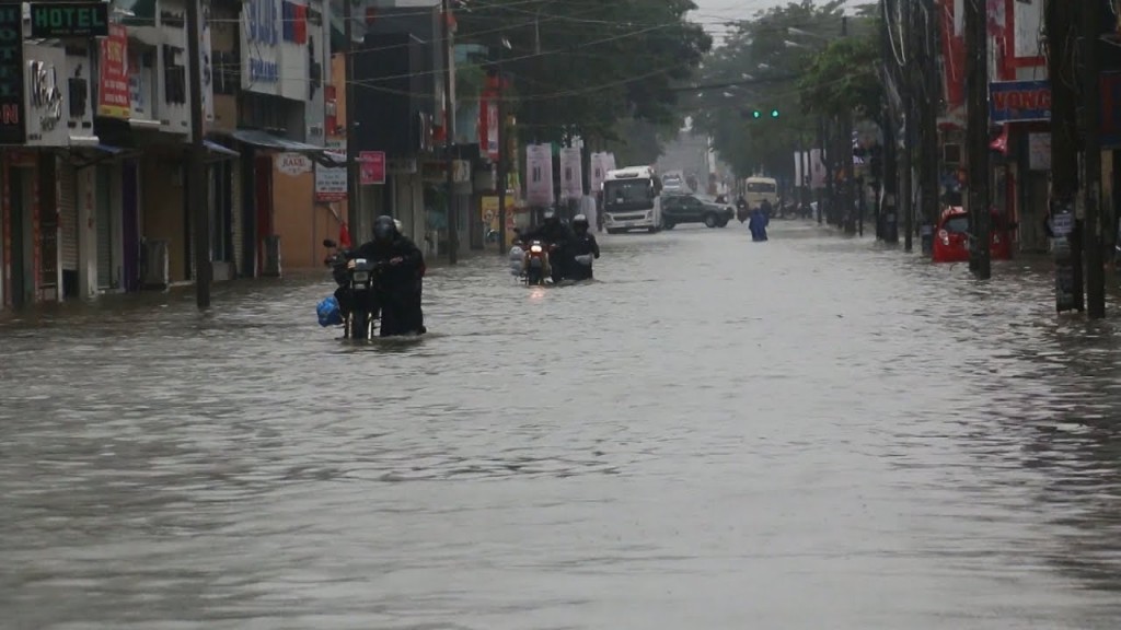 Ảnh minh hoạ Ảnh minh hoạ