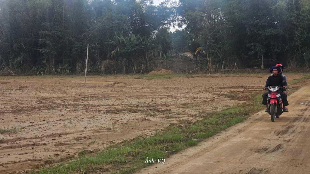 Đà Nẵng: 82,4 hecta đất nông nghiệp vùng Gò Nổi bị cát bồi lấp