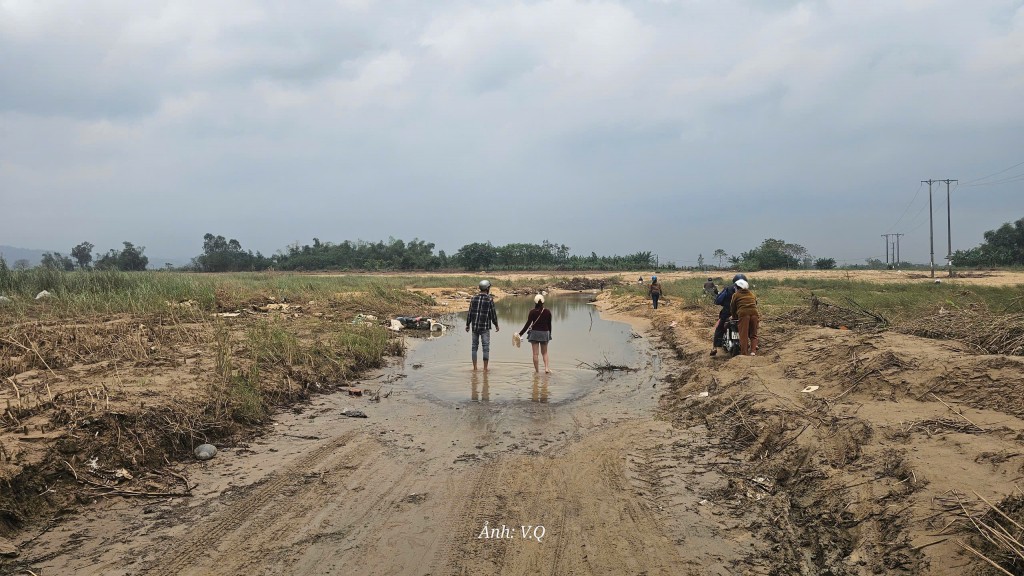 Hơn 82,4 hecta đất nông nghiệp vùng Gò Nổi cần khắc phục sau lũ