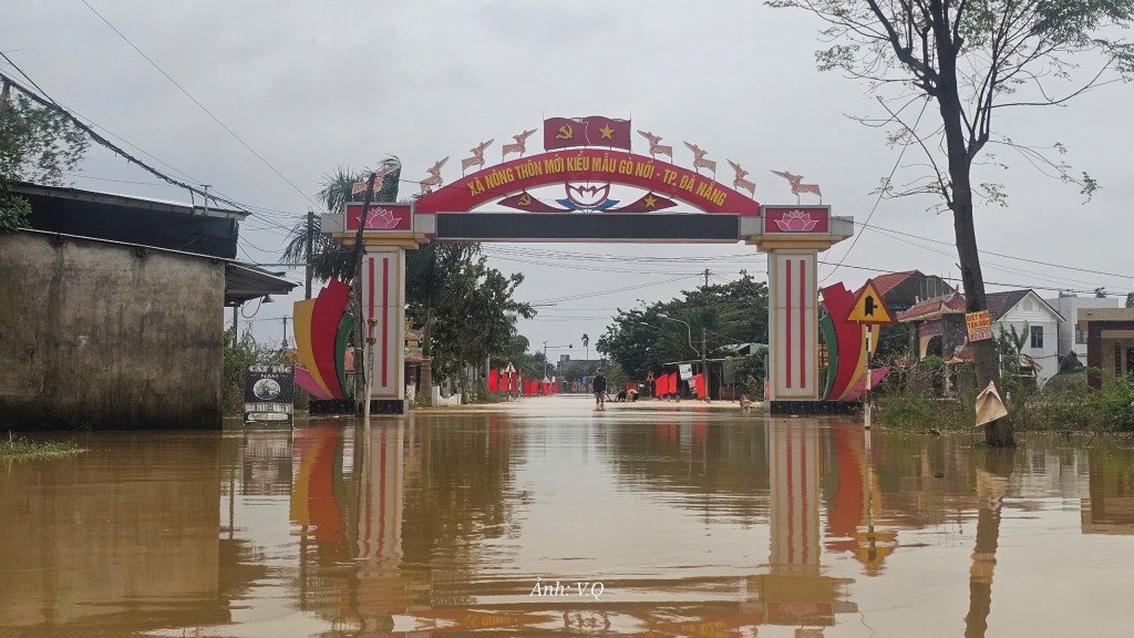 Hơn 82,4 hecta đất nông nghiệp vùng Gò Nổi cần khắc phục sau lũ