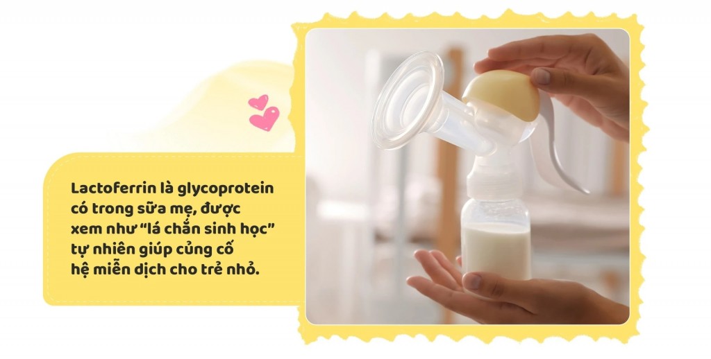 Lactoferrin và bước tiến mới trong dinh dưỡng đề kháng