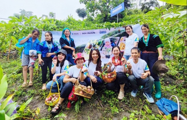 BIDV MetLife được vinh danh lần thứ 10 liên tiếp tại AmCham CSR Awards