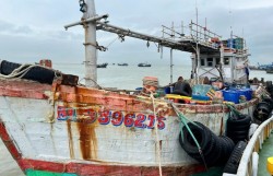 Bắt giữ tàu cá vận chuyển khoảng 50.000 lít dầu DO không nguồn gốc