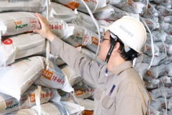 PVFCCo - Phú Mỹ ra mắt DAP Phú Mỹ, mở rộng danh mục sản phẩm