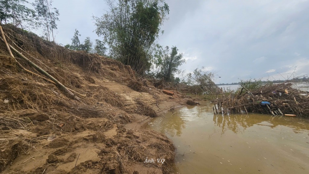 Sạt lở đi qua, xác xơ ở lại vùng phù sa Nhị Dinh Sạt lở đi qua, xác xơ ở lại vùng phù sa Nhị Dinh