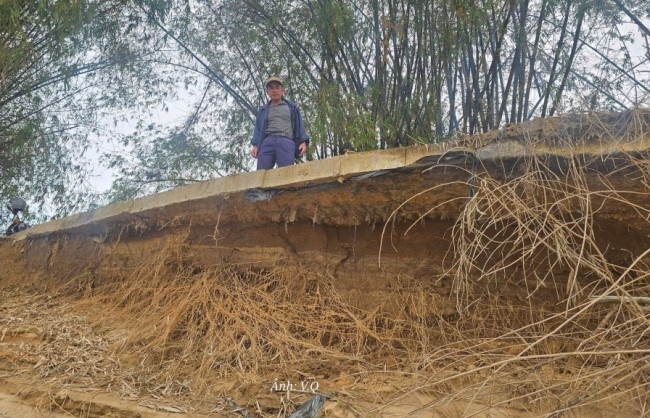 Đà Nẵng: Sạt lở khiến vùng phù sa Nhị Dinh xơ xác