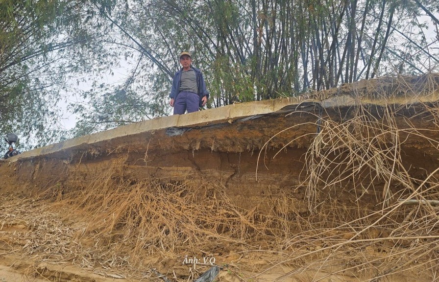 Đà Nẵng: Sạt lở khiến vùng phù sa Nhị Dinh xơ xác