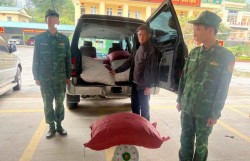 Lũng Nặm và Trà Lĩnh (Cao Bằng): Phát hiện, thu giữ hơn 1,6 tấn cau khô không rõ nguồn gốc