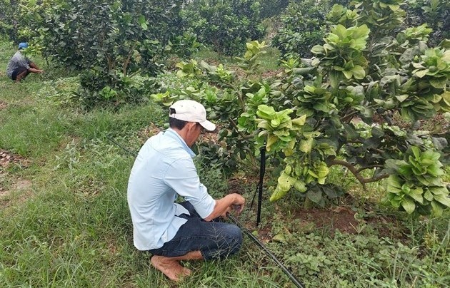 "Lời giải xanh" giảm phát thải Mê-tan, hướng tới nền kinh tế tuần hoàn