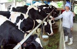 Mối đe dọa thầm lặng đẩy nhanh biến đổi khí hậu