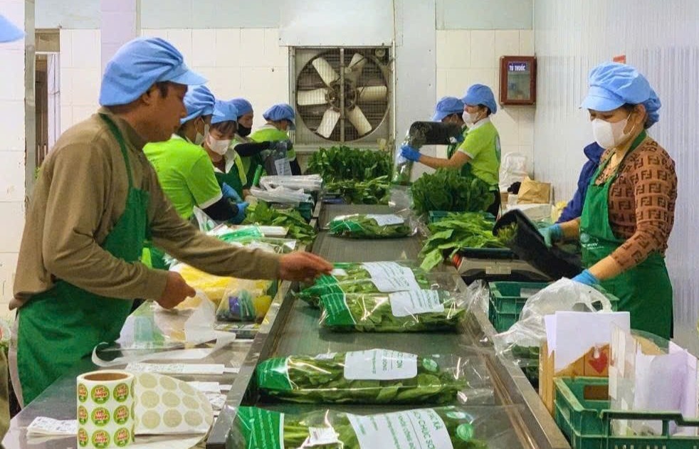 Khẩn trương khắc phục thiên tai, đẩy mạnh sản xuất phục vụ Tết 2026