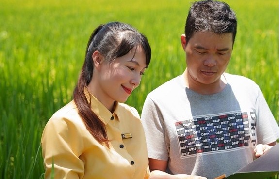 BAC A BANK trợ lực cho khách hàng cá nhân sản xuất kinh doanh ngành lúa gạo