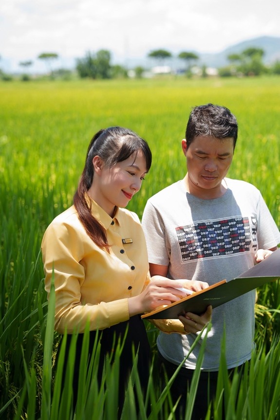 BAC A BANK trợ lực cho khách hàng cá nhân sản xuất kinh doanh ngành lúa gạo
