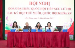 Cử tri kiến nghị tháo gỡ khó khăn khi giải quyết các thủ tục liên quan đến đất đai