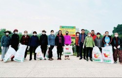 Xã Nam Phù tạo thói quen sản xuất nông nghiệp xanh