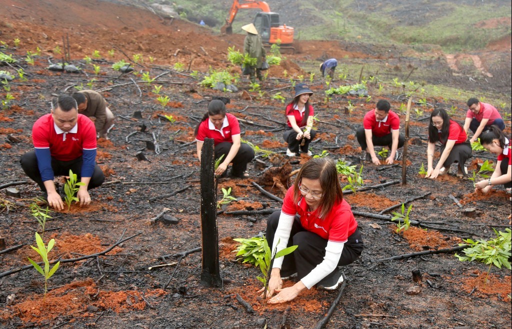 SeABank hỗ trợ trồng gần 671 nghìn cây xanh tại Hà Tĩnh, vượt mục tiêu 1 triệu cây xanh
