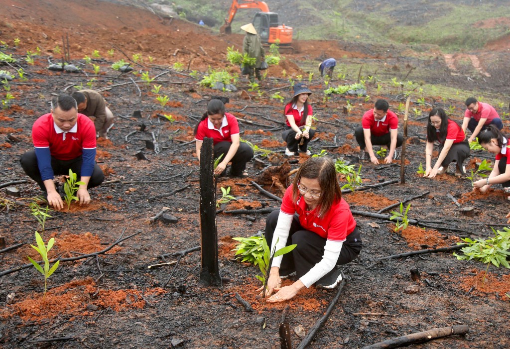 SeABank hỗ trợ trồng gần 671 nghìn cây xanh tại Hà Tĩnh, vượt mục tiêu 1 triệu cây xanh