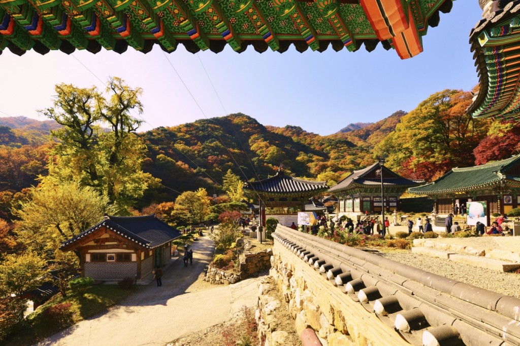 Những điểm đến lưu trú phù hợp cho trải nghiệm ẩm thực trong mùa du lịch cuối năm