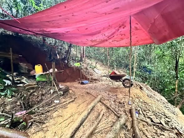 Lán trại trái phép bị phát hiện (Ảnh: C.A Đà Nẵng)