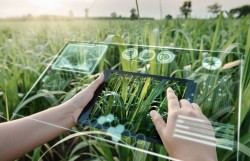 Quảng Ngãi: Hiện thực hóa mục tiêu nông nghiệp xanh đến năm 2050