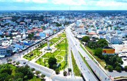 Tây Ninh tăng cường phòng, chống dịch bệnh nguy hiểm do vi rút Nipah