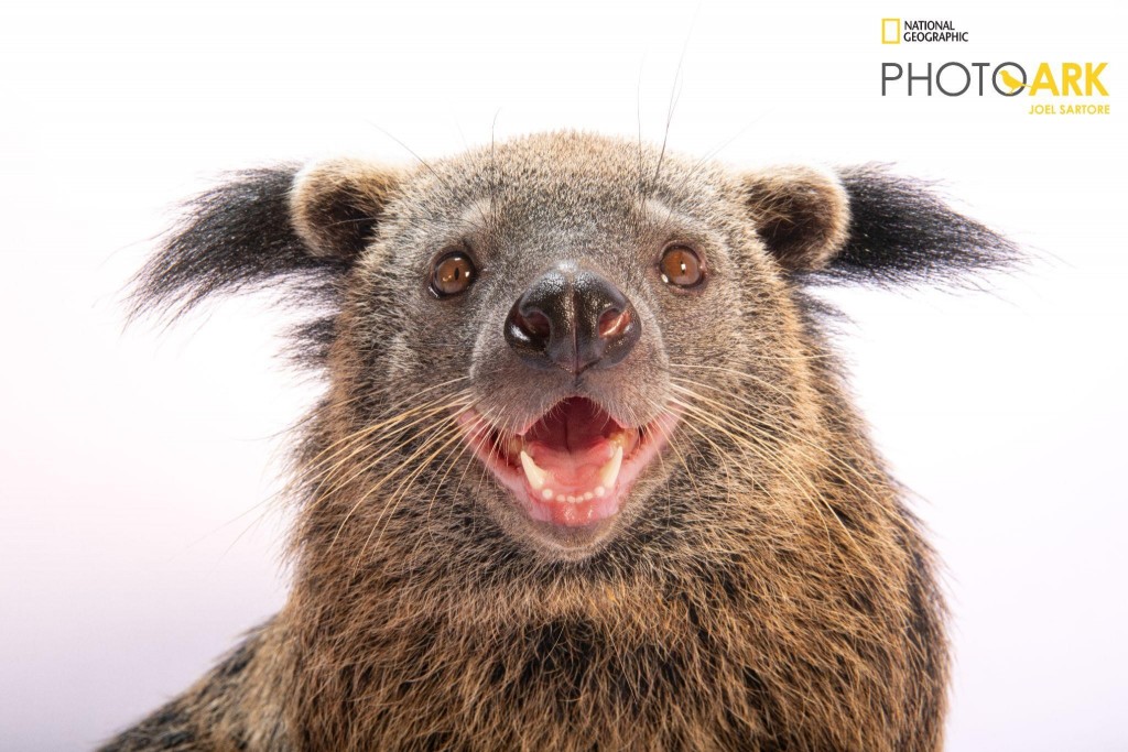 Dấu ấn trên bản đồ bảo tồn thế giới. Ảnh chụp bởi National Geographic, tháng 8/2024