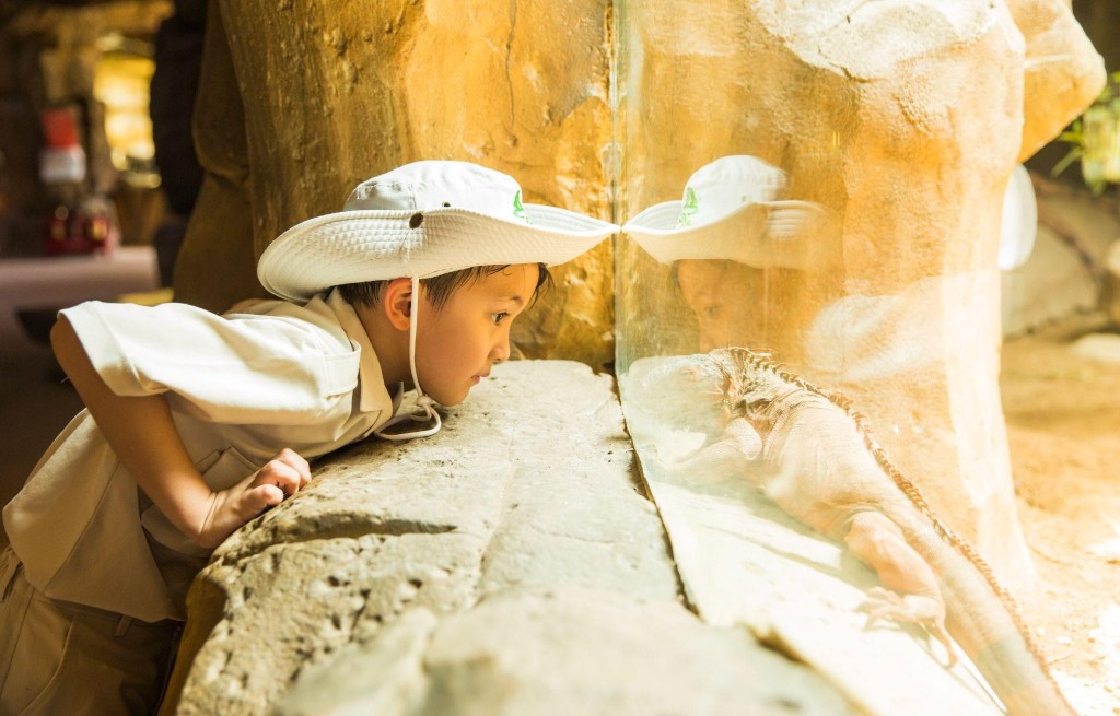 Lời cam kết tiếp tục sứ mệnh phát triển một vương quốc xanh cho thế hệ mai sau. Ảnh: Vinpearl Safari