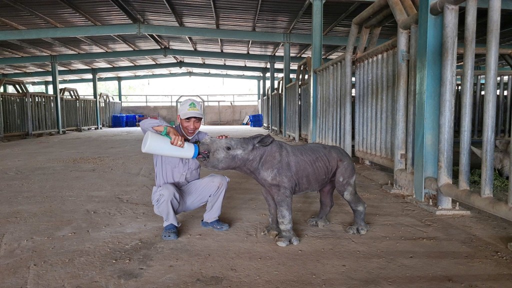 Những phép màu từ “nhà hội sinh” trên đảo, nơi sự sống sinh sôi từng mùa. Ảnh: Vinpearl Safari