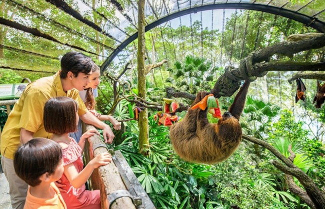 Xu hướng du lịch nước ngoài Tết Nguyên đán: Gia đình trẻ nên đi đâu?