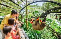 Xu hướng du lịch nước ngoài Tết Nguyên đán: Gia đình trẻ nên đi đâu?