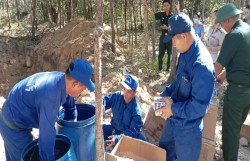 Lâm Đồng quyết liệt trấn áp nạn buôn bán pháo lậu