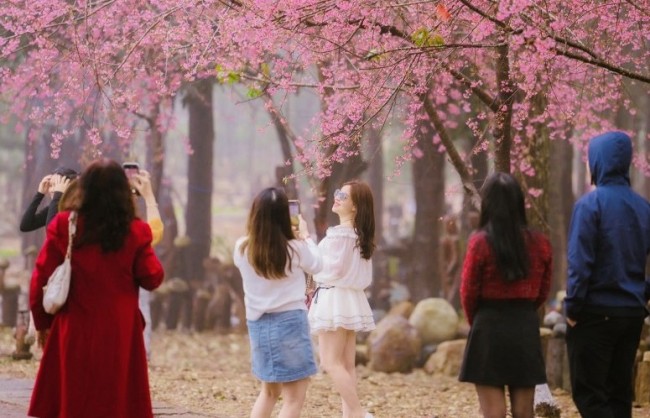 Quảng Ngãi sẵn sàng cho Tuần Văn hóa - du lịch Măng Đen