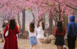 Quảng Ngãi sẵn sàng cho Tuần Văn hóa - du lịch Măng Đen