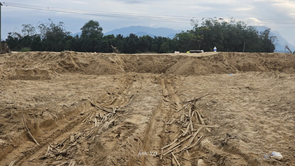 Đà Nẵng: Tránh tình trạng đất tặc đại náo làng quê sau lũ