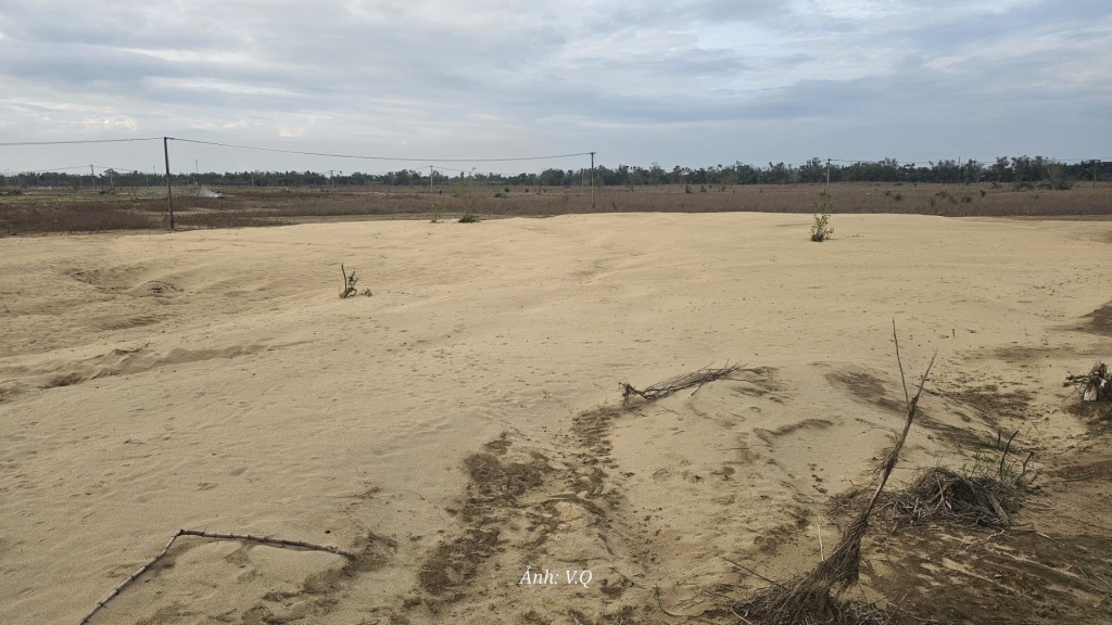 Đà Nẵng: Tránh tình trạng đất tặc đại náo làng quê sau lũ