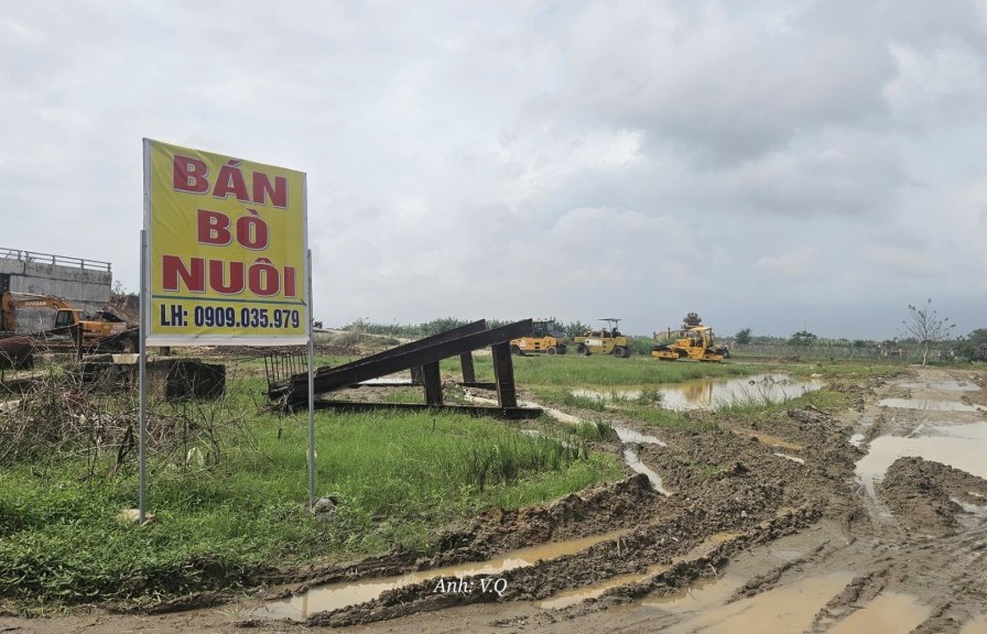 Đà Nẵng: Hàng loạt dự án đầu tư công tiếp tục "đứng bánh"