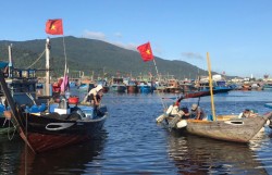 Sau 5 năm xử lý môi trường, cảng cá Thọ Quang “hạ nhiệt” ô nhiễm