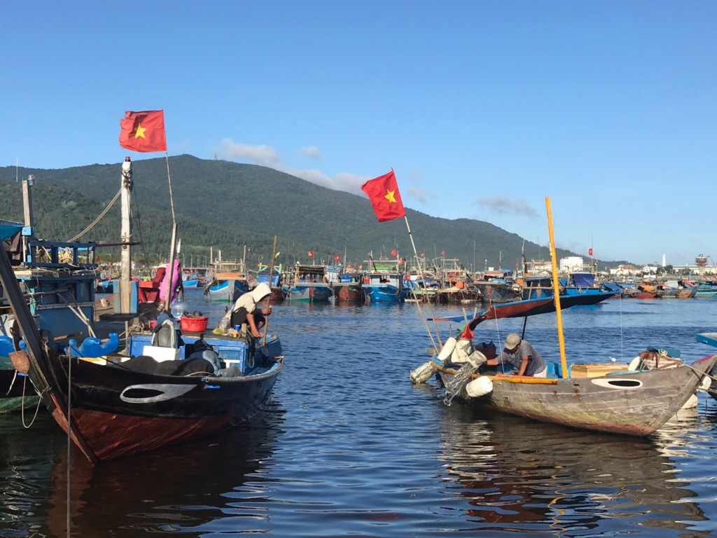 Sự phối hợp của các Sở, ngành, địa phương trong 5 năm qua, góp phần giải quyết căn bản tình trạng ô nhiễm môi trường tại khu vực Âu thuyền và cảng cá Thọ Quang 