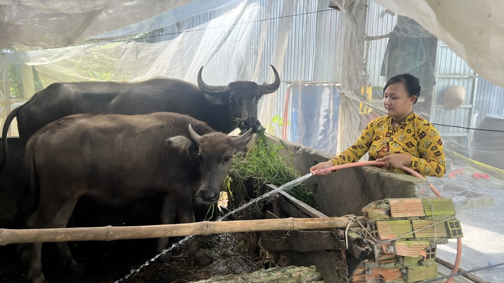 Với chương trình an sinh xã hội có chiều sâu, Cà Mau trao “cần câu” giúp hơn 12.000 trường hợp đối tượng yếu thế “lạc nghiệp”