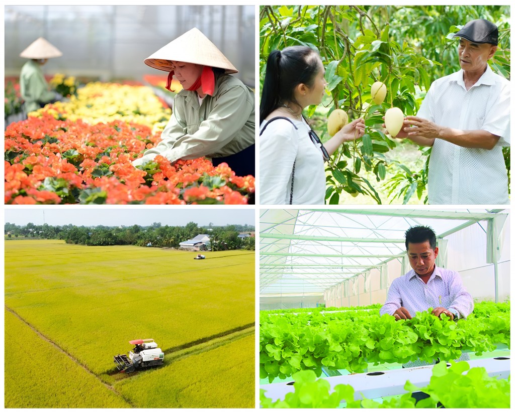 Nông nghiệp tiếp tục là trụ đỡ quan trọng, đóng góp vào tăng trưởng và cải thiện đời sống người dân Đồng Tháp