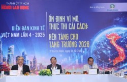 Nền tảng nào cho sự tăng trưởng 2026?