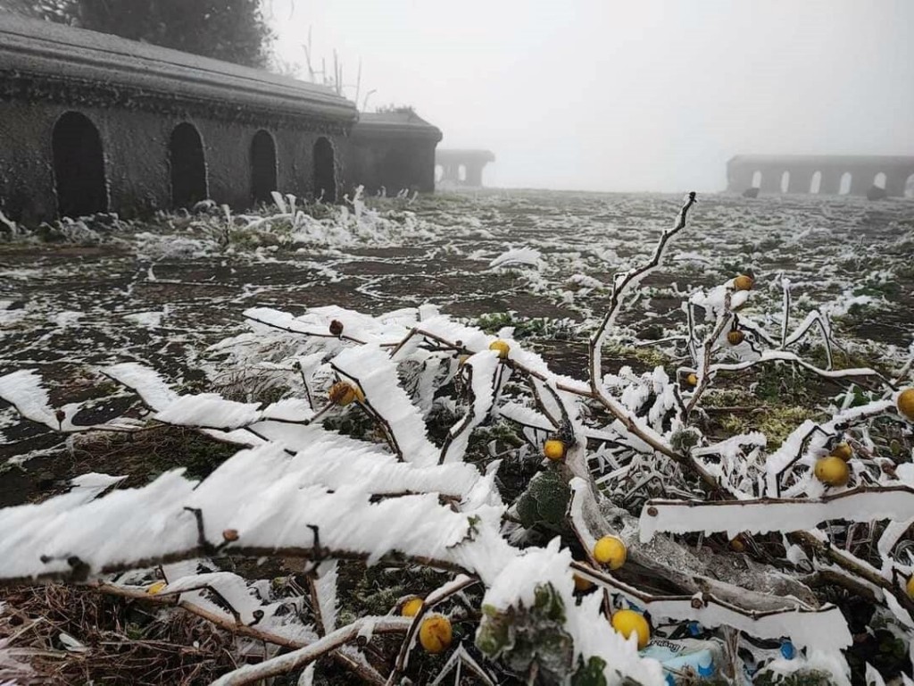 Ảnh minh hoạ Ảnh minh hoạ