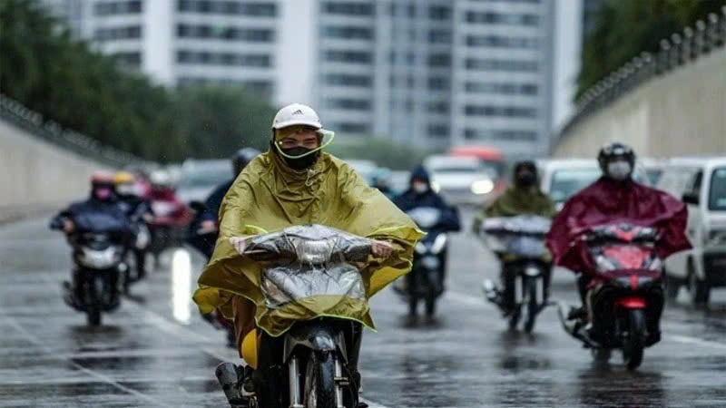 Ảnh minh hoạ Ảnh minh hoạ