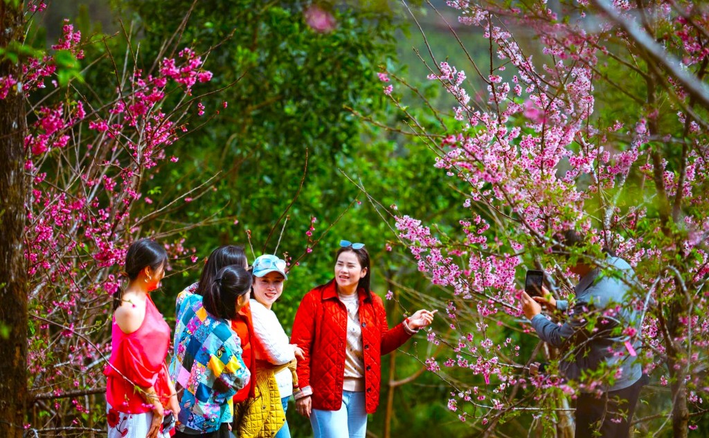 Quảng Ngãi: Du khách tăng mạnh trong kỳ nghỉ Tết Dương lịch