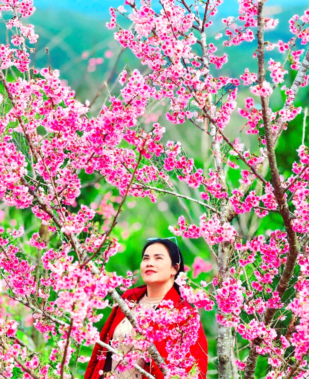 Quảng Ngãi: Du khách tăng mạnh trong kỳ nghỉ Tết Dương lịch