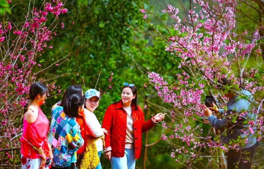 Quảng Ngãi: Du khách tăng mạnh trong kỳ nghỉ Tết Dương lịch