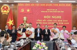Gia Lai: Ưu tiên các dự án lớn, thân thiện môi trường